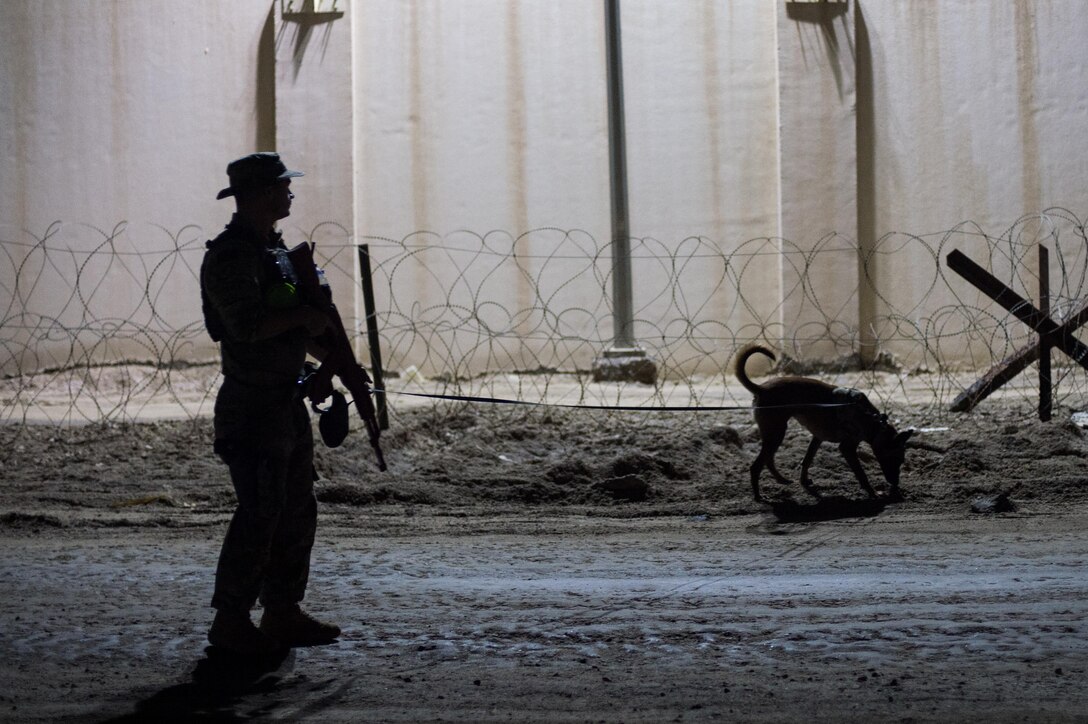 U.S. Air Force Staff Sgt. Dakoda, 380th Expeditionary Security Forces Squadron dog handler, completes a detection training exercise at an undisclosed location in Southwest Asia, Feb. 9, 2017. The 380 ESFS regularly trains with various Coalition and joint service units. During this exercise members of the 380th Explosive Ordnance Disposal collaborated with military working dog units from the 380 ESFS and CTG 56.7. (U.S. Air Force photo/Senior Airman Tyler Woodward)
