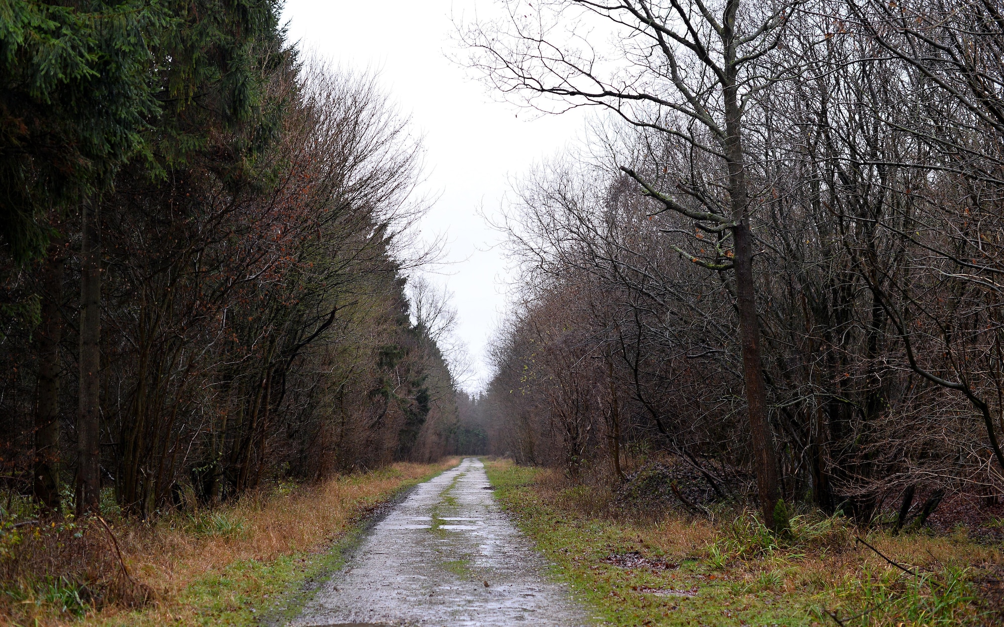 Nuthampstead’s World War II flightline is slowly being eroded by decades of rain. The flightline was home to the 55th Fighter Group tasked with escorting bombers over Europe during the Allied war effort. (U.S. Air Force photo by Josh Plueger)