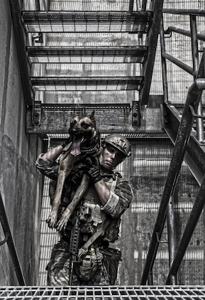 A Multi-Purpose Canine handler with U.S. Marine Corps Forces Special Operations Command carries his canine up a grated ladderwell during training aboard Stone Bay, Sept. 16, 2014. As MARSOC continues to demonstrate their capabilities and versatilities, MPC handlers with the command are preparing themselves and their canines for new areas of operation in which they’ll be operating. (U.S. Marine Corps photo illustration by Sgt. Scott A. Achtemeier/Released)