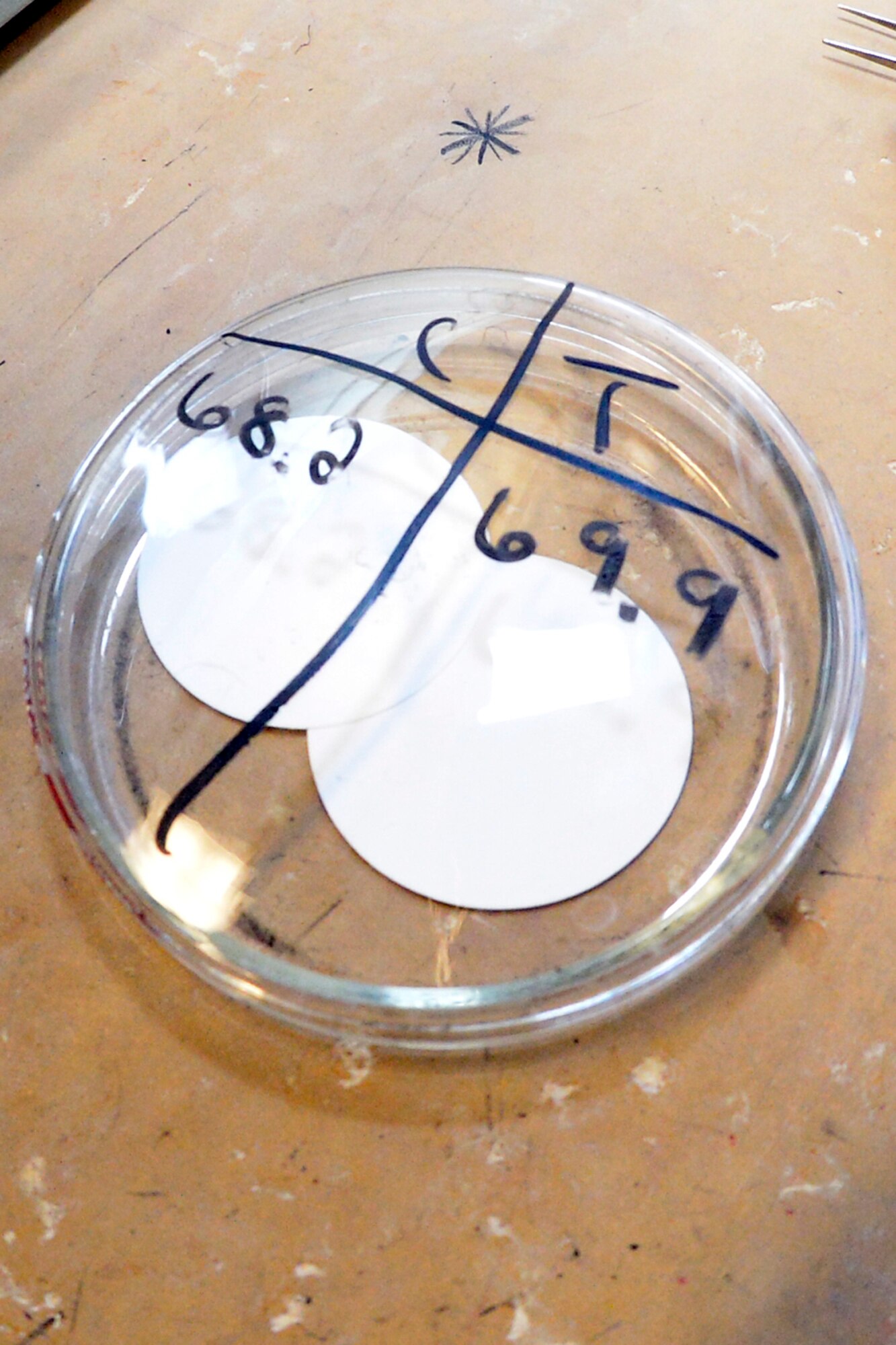 A petri dish contains test pads used to measure aviation fuel particulates at Hill Air Force Base, Utah, Feb. 14, 2017. Two pads are used for a particulate test, a control pad and a test pad. (U.S. Air Force photo by Todd Cromar)