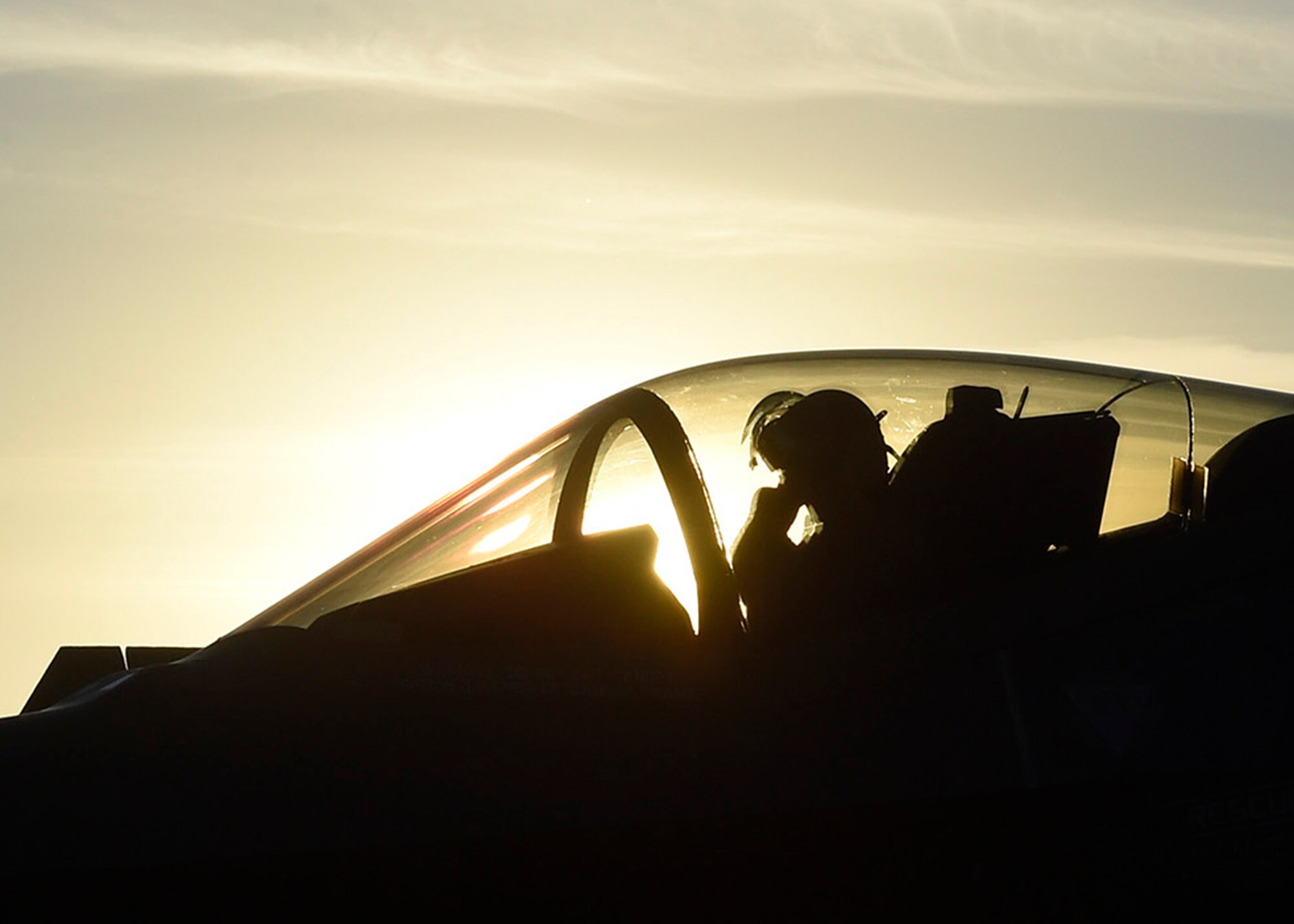 Maj. Will Andreotta, 61st Fighter Squadron heritage flight pilot, sits in the cockpit of an F-35 Lightning II during the Heritage Flight Training and Certification Course Feb. 10, 2017, at Davis-Monthan Air Force Base, Ariz. Heritage and demonstration teams need to be certified annually to participate in open houses and air shows worldwide. (U.S. Air Force photo by Senior Airman James Hensley)   