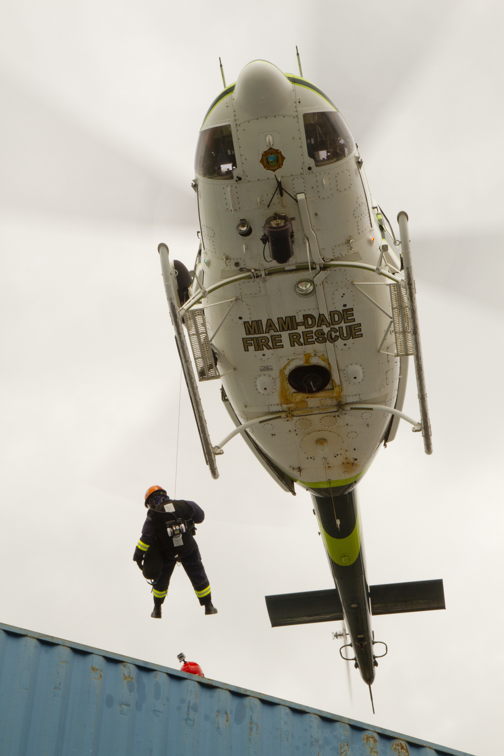 Mdfr Team Fishel - 3znvi9g