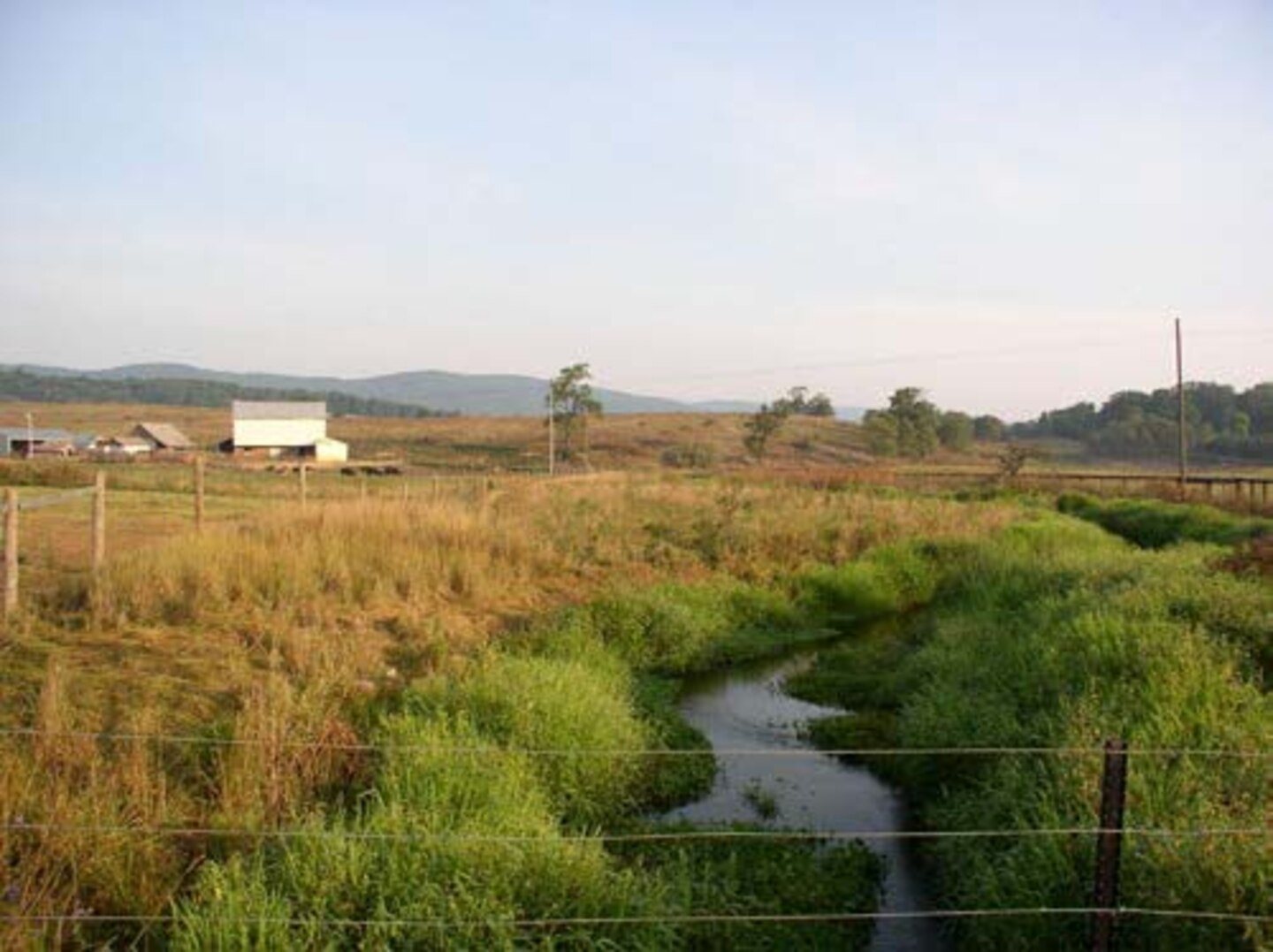 Fencing of mitigation site to excluded grazing
