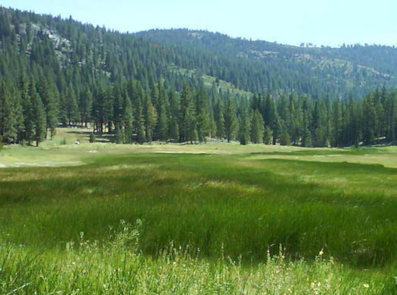 Wetland with contributing watershed