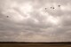 A C-130J Super Hercules drops four water barrel container delivery system (CDS) bundles during a training sortie at Black Jack Drop Zone Feb. 11, 2017, near Beebe, Ark. Airmen from the 327th Airlift Squadron, part of the 913th Airlift Group, practice airdropping CDS bundles to enhance skills used during humanitarian and combat missions. (U.S. Air Force photo by Master Sgt. Jeff Walston/Released)