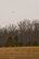 Two C-130J Super Hercules approach the Black Jack Drop Zone Feb. 11, 2017, during a training mission near Beebe, Ark. Two aircrews from the 327th Airlift Squadron competed against each other, attempting to drop their cargo closest to a designated target. (U.S. Air Force photo by Master Sgt. Jeff Walston/Released)