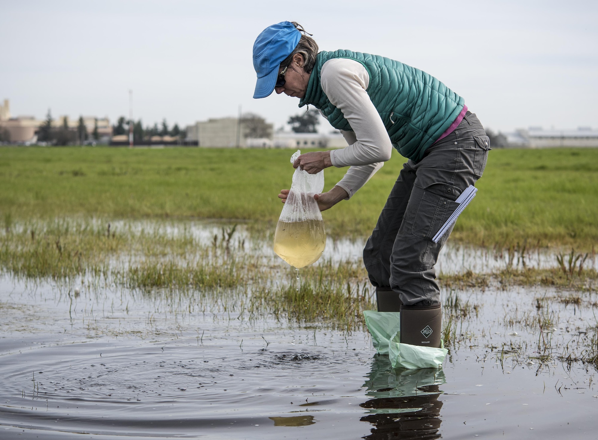 Dr. Alisa Wade, University of Montana, collects a sample from a vernal pond Feb 13, 2017 at Travis Air Force Base, Calif.  Wade, part of a two person team, is the project coordinator for a “habitat quality assessment” project to determine if Travis has a viable environment for the western spadefoot toad. The assessment includes recording data for vegetation type, soil friability and a visual check for mammal burrows and WST predators. The team will also collect DNA samples from several ephemeral vernal pools through a filter that will go back to a genetics lab to determine if any DNA from the WST is floating around the pool, indicating the toads have been there. (U.S. Air Force photo/ Heide Couch)