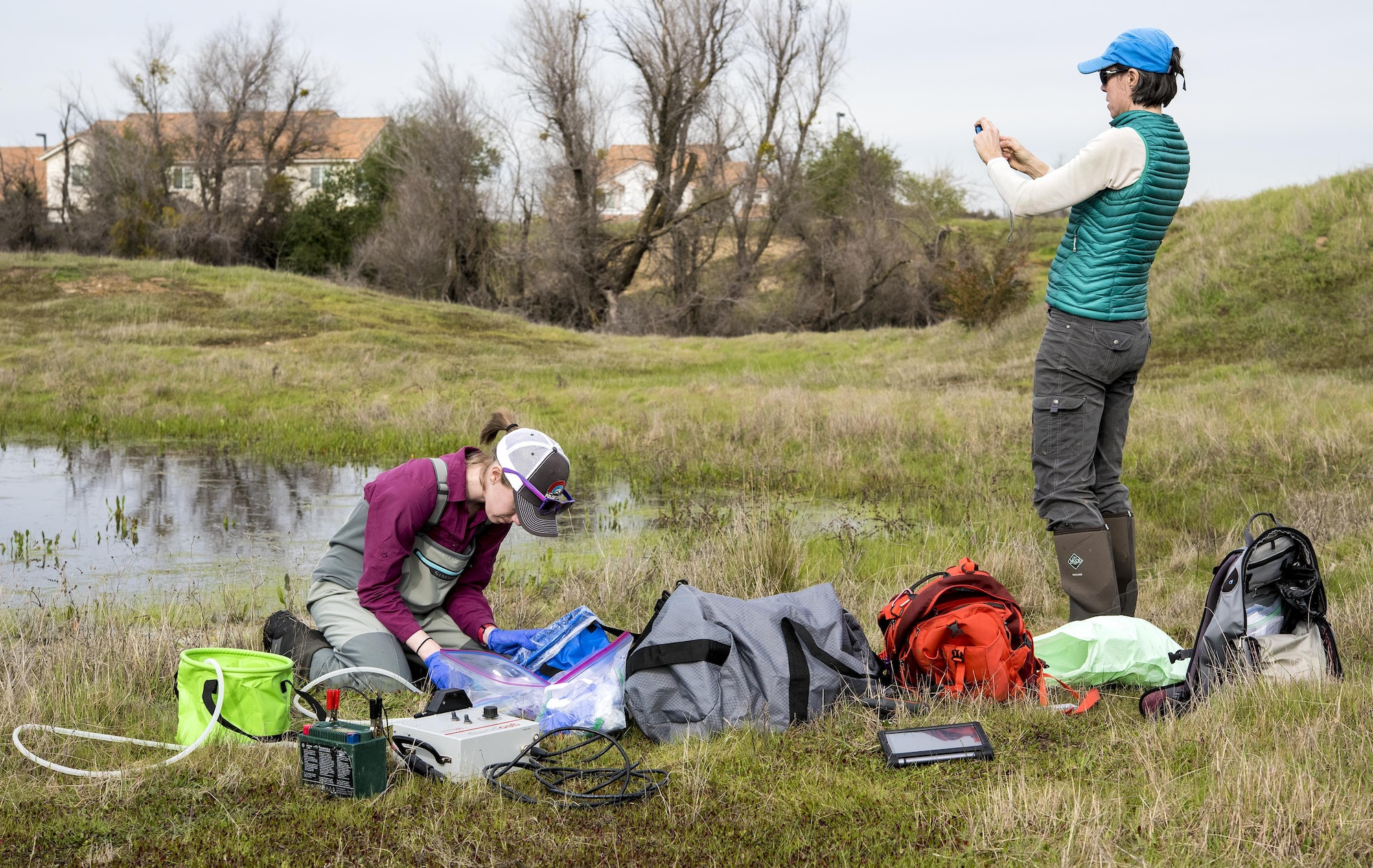 Dr. Alisa Wade (right), University of Montana, and Brett Addis (left), Ph.D candidate, gather data for a “habitat quality assessment” project to determine if Travis Air Force Base, Calif.,  has a viable environment for the western spadefoot toad during a survey at the base Feb. 13, 2017. The assessment includes recording data for vegetation type, soil friability and a visual check for mammal burrows and WST predators. Wade and Addis will also collect DNA samples from several ephemeral vernal pools through a filter that will go back to a genetics lab to determine if any DNA from the WST is floating around the pool, indicating the toads have been there. (U.S. Air Force photo/ Heide Couch)