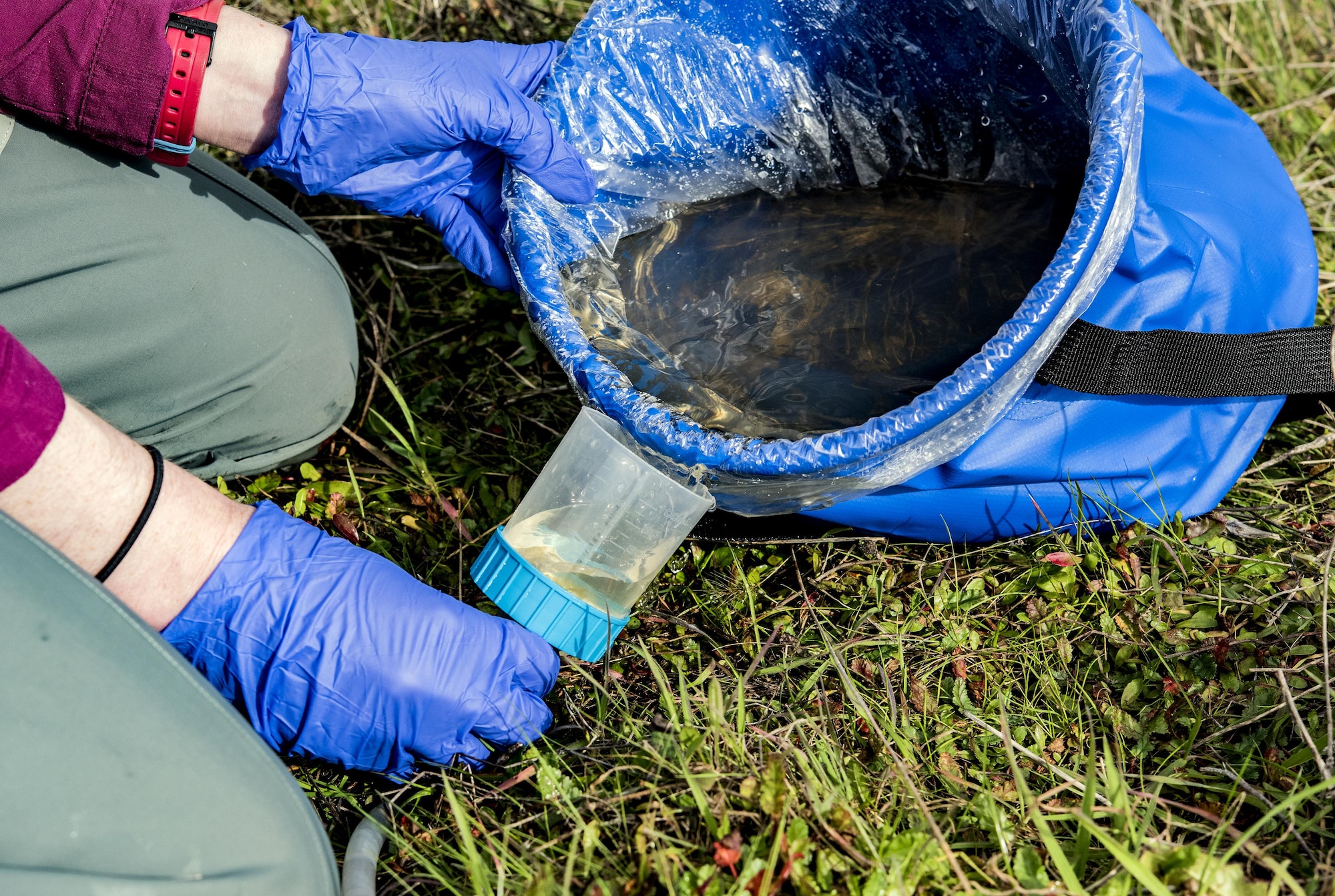 Brett Addis, a Ph.D candidate at the University of Montana, processes a water sample collected from a vernal pool Feb. 13, 2017 at Travis Air Force Base, Calif. Addis, part of a two-person team, is the field coordinator for a “habitat quality assessment” project to determine if Travis has a viable environment for the western spadefoot toad. The song meters are audio recorders designed to capture night vocalizations of the western spadefoot toad. During these maintenance checks, Addis will remove and replace the memory cards vital to data collection and change out batteries. (U.S. Air Force photo/ Heide Couch)