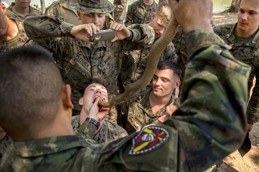 Marines drink cobra blood during Cobra Gold 17 at Camp Ban Chan Krem, Thailand, Feb. 17, 2017. The multinational exercise focuses on humanitarian civic action, community engagement and medical training. The Marines are assigned to Battalion Landing Team, 2nd Battalion, 5th Marine Regiment, 31st Marine Expeditionary Unit, 3rd Marine Expeditionary Force. Troops can use cobra blood and flesh as nutrition where sustenance is scarce. Marine Corps photo by Cpl. Steven Tran