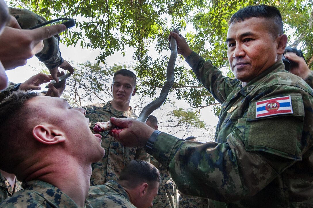 Thai Navy Chief Petty Officer 1st Class Pairoj Prasansai, right, pours cobra blood into the mouth of a U.S. Marine during jungle survival training as part of Cobra Gold 17 at Camp Ban Chan Krem, Thailand, Feb. 17, 2017. Prasansai is a jungle survival training instructor assigned to the Thai Reconnaissance Battalion. Navy photo by Petty Officer 2nd Class Markus Castaneda 