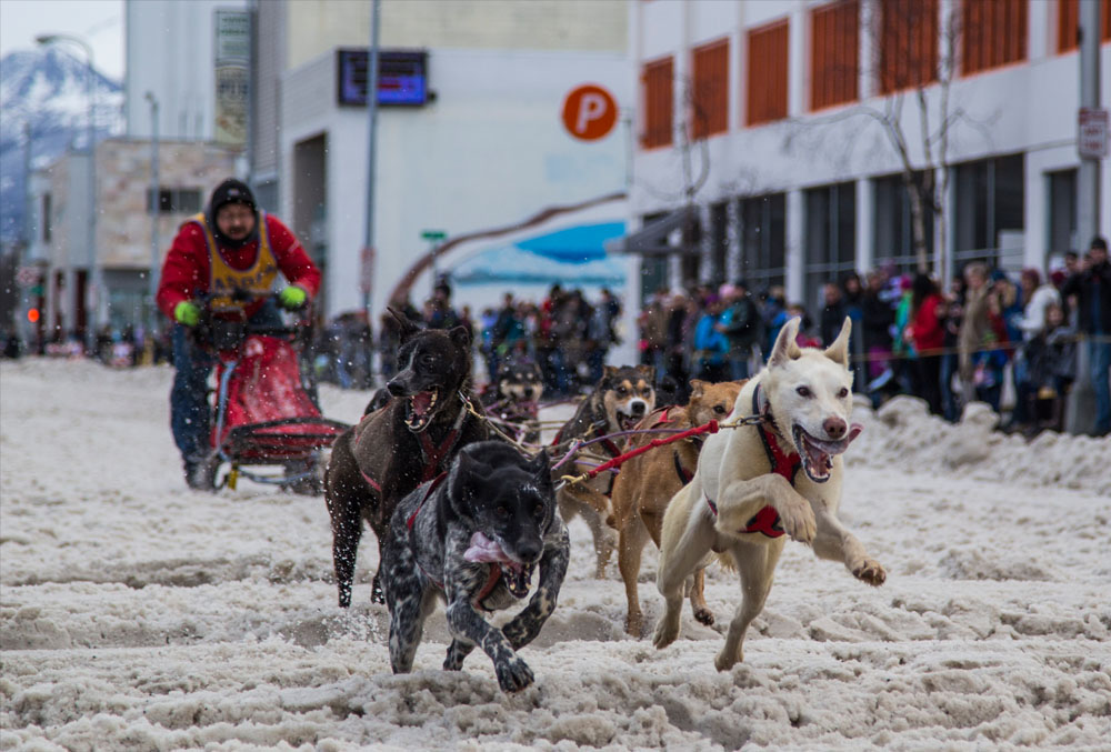Fur Rondy Comes To Town Joint Base Elmendorf Richardson News