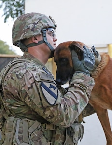 Rrobiek, a Belgian Malinois military working dog, and his handler, U.S. Army Staff Sgt. Charles Ogin, 3rd Infantry Regiment, bond with each other during work Feb. 15 in Baghdad, Iraq. Rrobiek is a patrol and explosive detector dog who works hard with Ogin to ensure the safety of everyone inside the entry point gate at Union III in Baghdad. (Photo Credit: U.S. Army photo by Sgt. Anna Pongo)