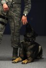 Senior Airman Amanda Puryear, 5th Security Forces Squadron military working dog handler, instructs Deny, MWD, to stay during obedience training at Minot Air Force Base, N.D., Feb. 23, 2017. MWDs are trained to maintain security for military bases and personnel. (U.S. Air Force photo/Senior Airman Kristoffer Kaubisch)