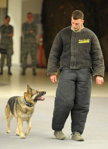Cyndy, military working dog, guards Staff Sgt. Stephen Nores, 5th Security Forces Squadron MWD trainer, during training at Minot Air Force Base, N.D., Feb. 23, 2017.  During the training, the MWD walks the simulated assailant to a police vehicle in case they attempt to run away. (U.S. Air Force photo/Senior Airman Kristoffer Kaubisch)