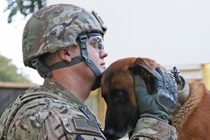 Rrobiek, a Belgian Malinois military working dog, and his handler, Army Staff Sgt. Charles Ogin, 3rd Infantry Regiment, bond with each other Feb. 15 in Baghdad, Iraq. Rrobiek is a patrol and explosive detector dog who works hard with Ogin to ensure the safety of everyone inside the entry point gate at Union III in Baghdad. Army photo by Sgt. Anna Pongo