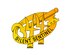 U.S. Army 344th Military Intelligence Battalion Silent Sentinel Key. (Courtesy Graphic)