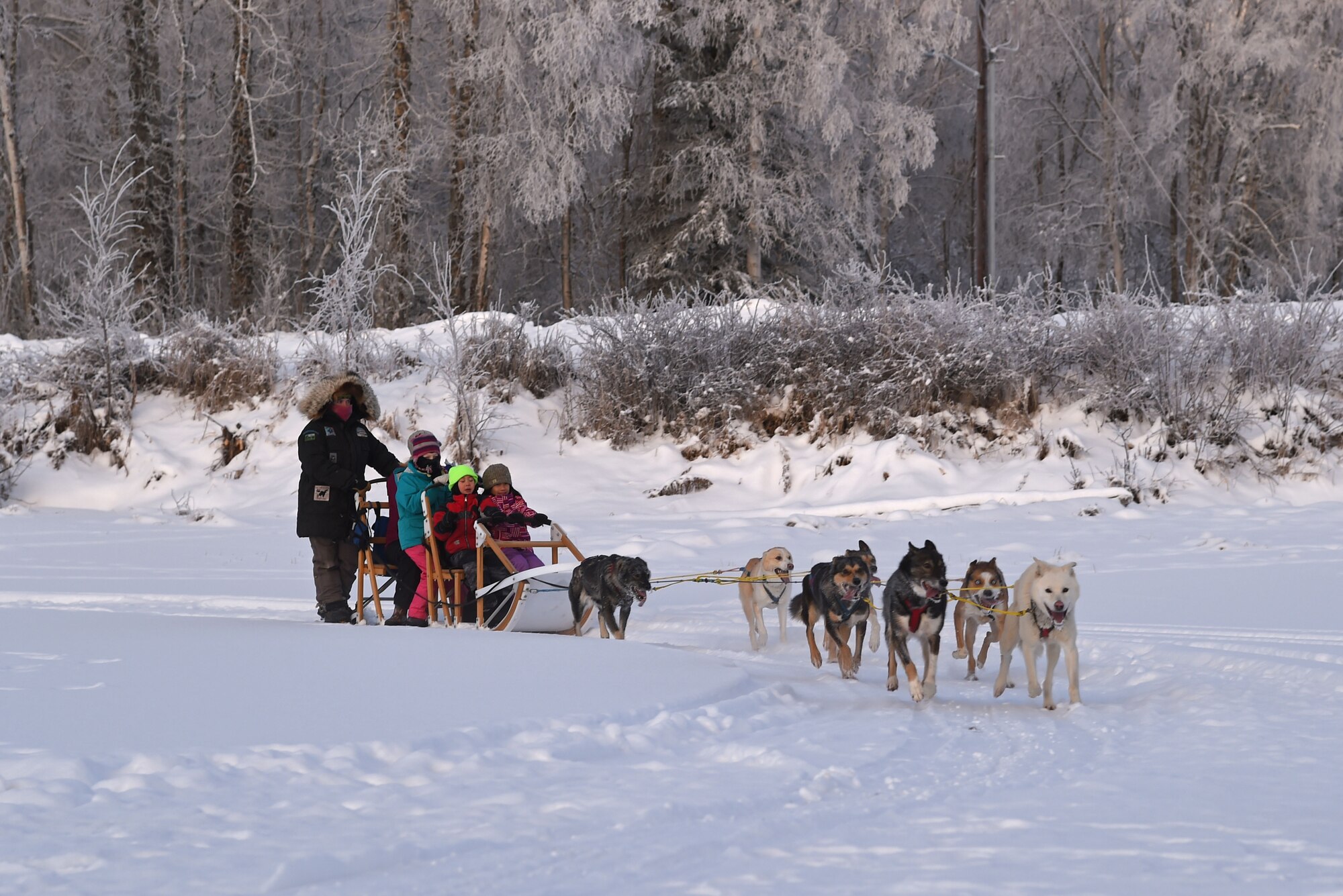 Joint Base Elmendorf-Richardson service members and families participate in Winterfest at the Hillberg Ski Area, Dec. 22, 2016.The event featured face painting, gingerbread house making, pictures with Santa, snow machine riding, dog sled riding, tubing, skiing and snowboarding. 