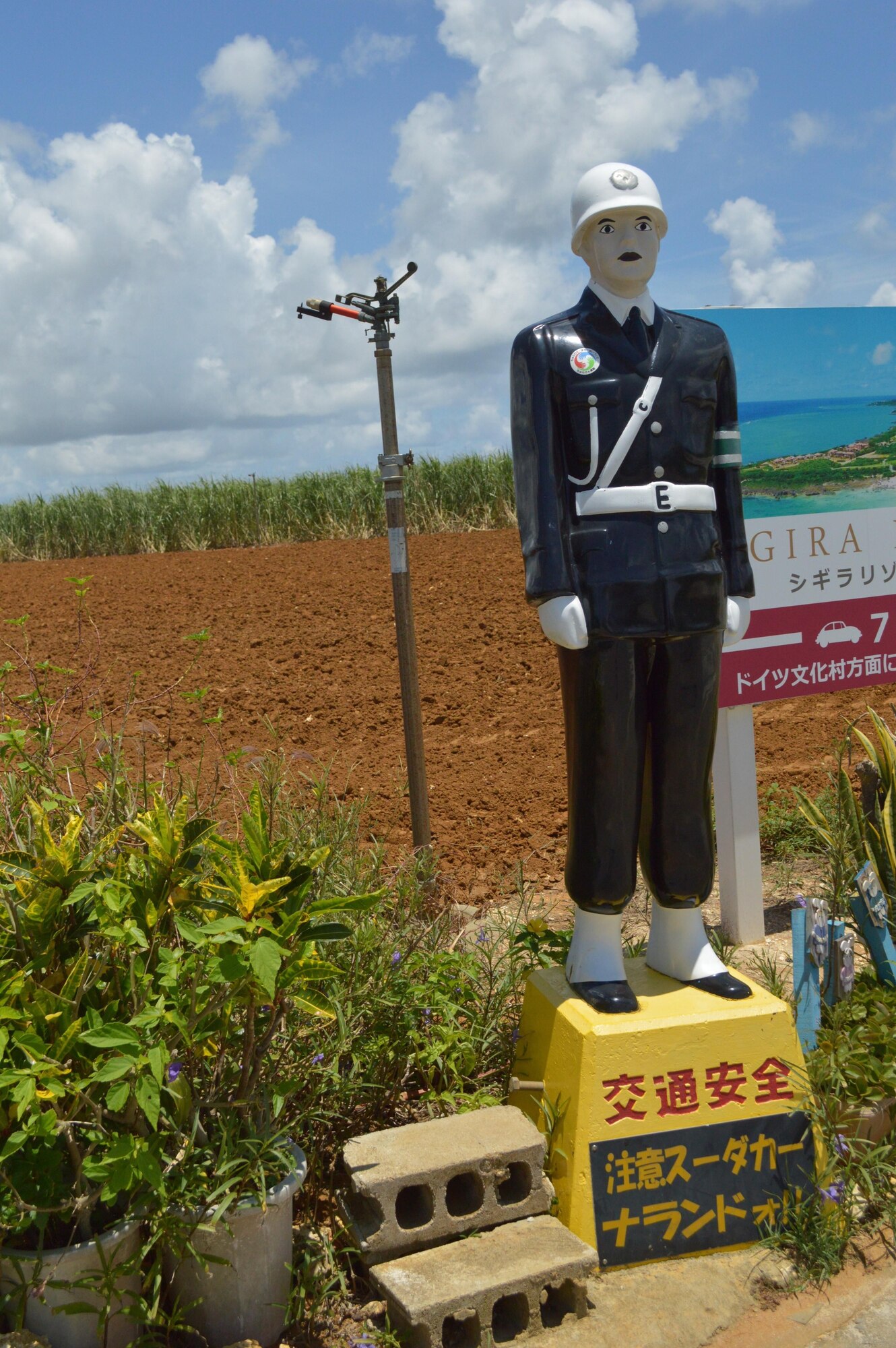 One of the 19 Mamoru-Kun figurines is displayed next to a sugarcane field on Miyako-Jima, Okinawa, Japan. The figures are decorated in a police uniform to spread traffic safety awareness throughout the island for more than 20 years. (courtesy photo)
