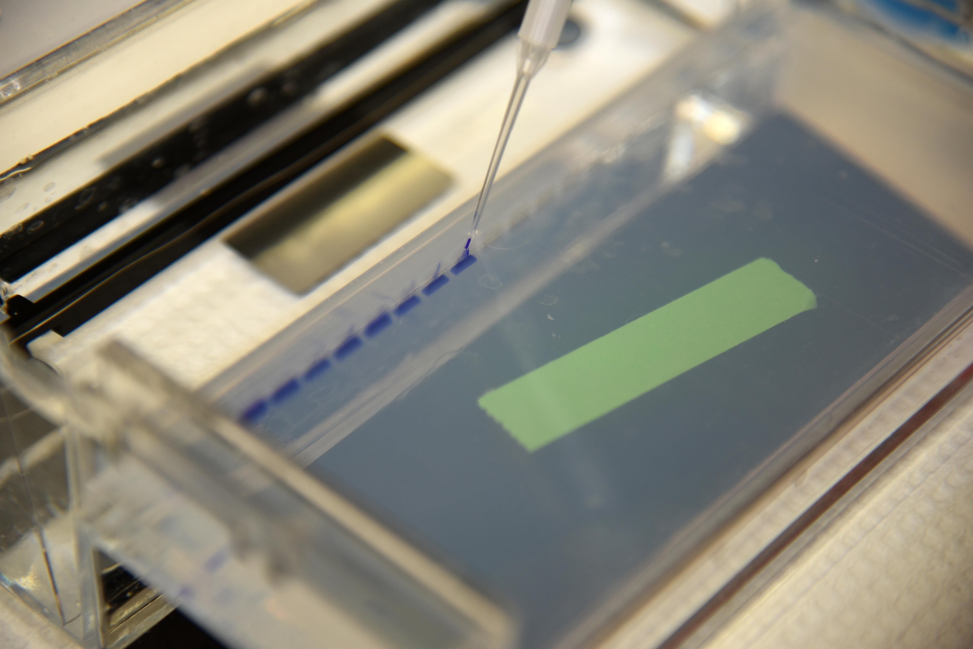 A small sample of DNA is added to a product gel to see if the amplification process worked Aug. 24, 2016, at the Armed Forces Medical Examiner System on Dover Air Force Base, Delaware. The product gel is run through an electrical current for 15 minutes to separate the DNA by size. (U.S. Air Force photo/Senior Airman Ashlin Federick)