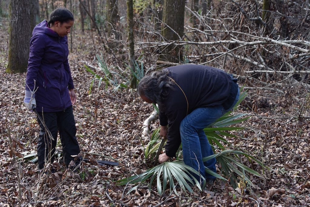 Members of the U.S. Army Corps of Engineers Mobile District Archaeology team came together with members of the Choctaw Nation of Oklahoma to gather items of ancestral value, Dec. 12-15. Working as a team, they collected palmetto, American lotus, greenbrier, and river cane along the Tennessee Tombigbee Waterway near Columbus, Mississippi.  