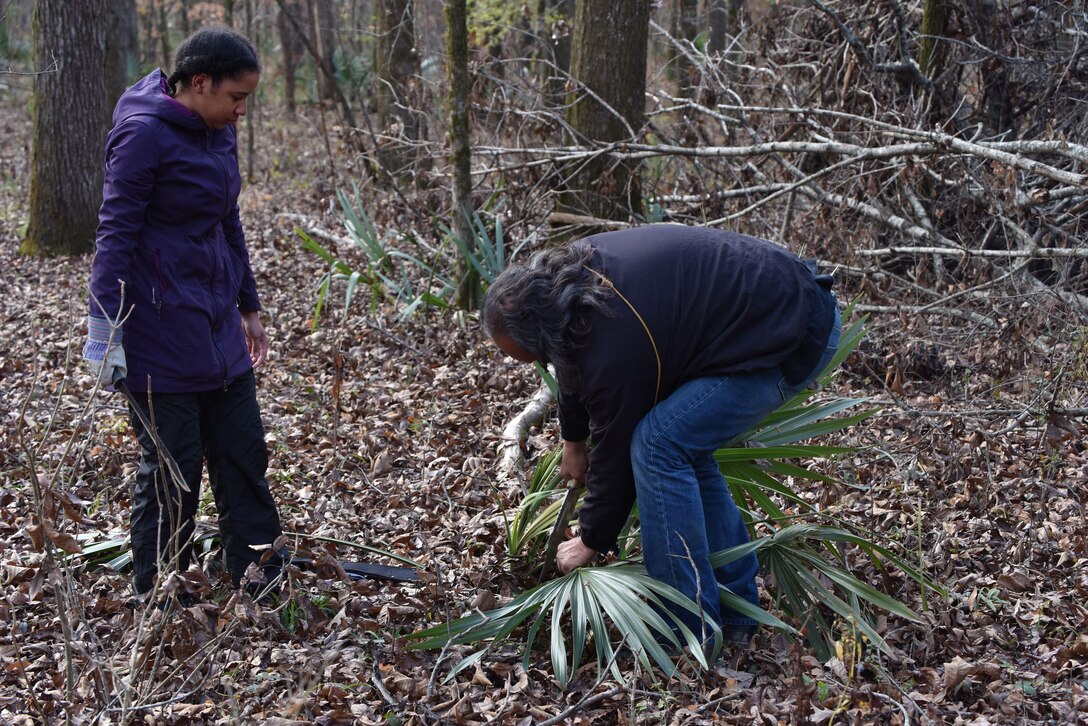 Members of the U.S. Army Corps of Engineers Mobile District Archaeology team came together with members of the Choctaw Nation of Oklahoma to gather items of ancestral value, Dec. 12-15. Working as a team, they collected palmetto, American lotus, greenbrier, and river cane along the Tennessee Tombigbee Waterway near Columbus, Mississippi.  