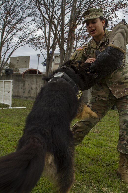 U.S. Army Staff Sgt. Tanya Weaver, a Patrol Explosive Detector Dog Handler assigned to the 226th Military Working Dog detachment, 89th Military Police Brigade, conducts a demonstration with her military working dog, Rex Romeo, at the Go Army Experience outside the San Antonio Alamodome, Jan. 5 as part of events leading up to the 2017 U.S. Army All-American Bowl (AAB). The AAB will be broadcast live on NBC Jan. 7 at 12 p.m. CDT. (U.S. Army Reserve photo by Spc. James Lefty Larimer, 367th Mobile Public Affairs Detachment)