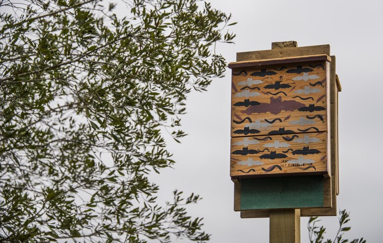 A newly-installed bat house sits near the left bank of Anderson Pond on Eglin Air Force Base, Fla.  These and two others were placed near water areas on the Eglin Range to provide a sanctuary to bat colonies.  There are more than five different species of bats throughout the Eglin reservation.  Bats provide the range with natural pest control eating bugs and mosquitos.  (U.S. Air Force photo/Samuel King Jr.)