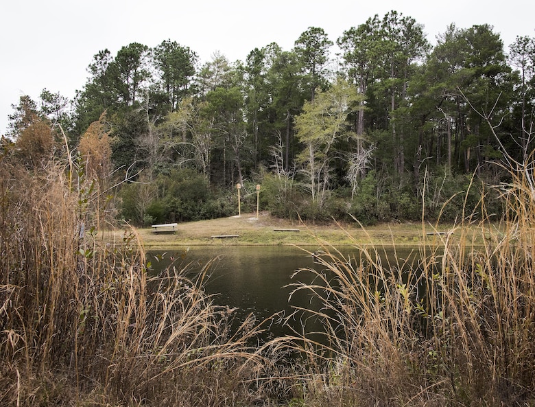 Two newly-installed bat houses sit near the left bank of Anderson Pond on Eglin Air Force Base, Fla.  These and two others were placed near water areas on the Eglin Range to provide a sanctuary to bat colonies.  There are more than five different species of bats throughout the Eglin reservation.  Bats provide the range with natural pest control eating bugs and mosquitos.  (U.S. Air Force photo/Samuel King Jr.)