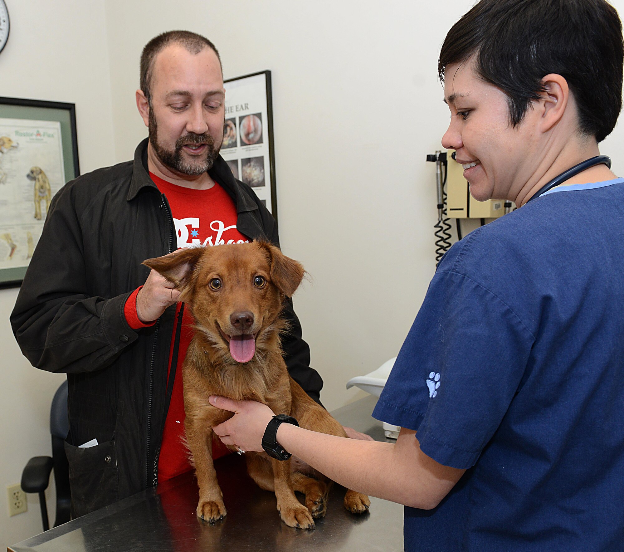 U.S. Army Capt. Emily Stuebing, Fort Eustis Veterinary Clinic veterinarian, speaks with retired U.S. Navy Hospital Corpsman 1st Class Mike Cochran, the owner of Justice, during an appointment at Joint Base Langley-Eustis, Va., Jan. 5, 2017. Installation veterinarians also provide services for military working dogs  including exams, vaccines, testing and procedures and surgeries necessary for the health and wellbeing of MWDs. (U.S. Air Force photo by Staff Sgt. Teresa J. Cleveland)