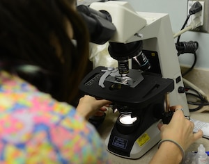 Jo Marie Edmister, Langley Veterinarian Clinic animal health care assistant, uses a microscope to inspect a K-9 lab sampleduring a routine check-up at Joint Base Langley-Eustis, Va., Jan. 5, 2017. Microscopic exams are used to detect and prevent of worms and certain bacteria that pets may be susceptible to based on their breed, age, and local environment. (U.S. Air Force photo by Staff Sgt. Teresa J. Cleveland)