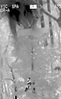 Thermal identification equipment captures the rescue for two hikers missing since Jan. 5, 2017, in the Shinning Rock Wilderness Area. They were rescued Saturday evening by the North Carolina Helicopter and Aquatic Rescue Team (NCHART).