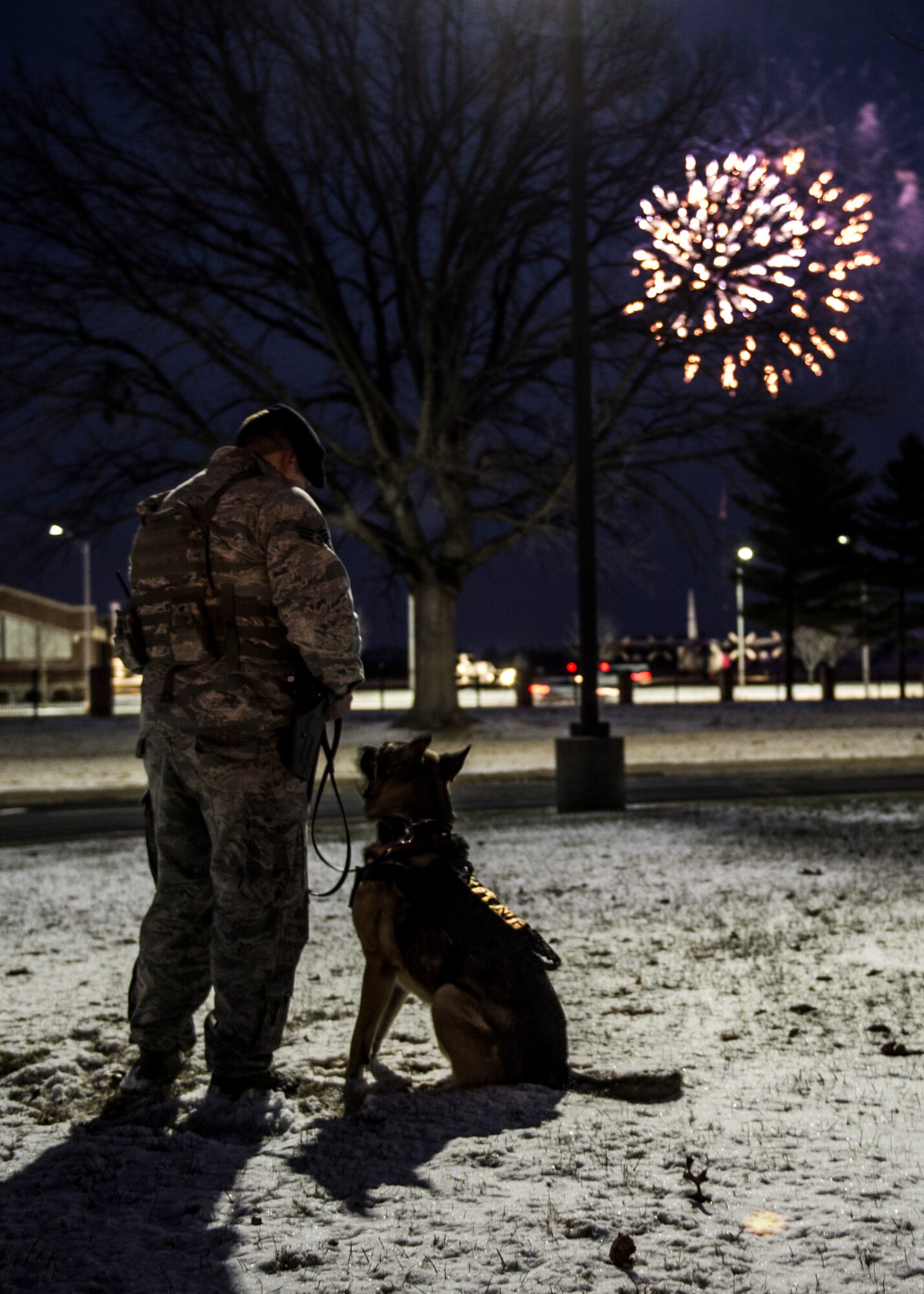 Senior Airman Connor Patron and his military working dog Jack, both with the 375th Security Forces Squadron, watch the firework finale to the Centennial kick-off, which celebrates the 100th Anniversary of Scott Air Force Base, Jan. 6, 2017.   (U.S. Air Force photo by Staff Sgt. Jodi Martinez)