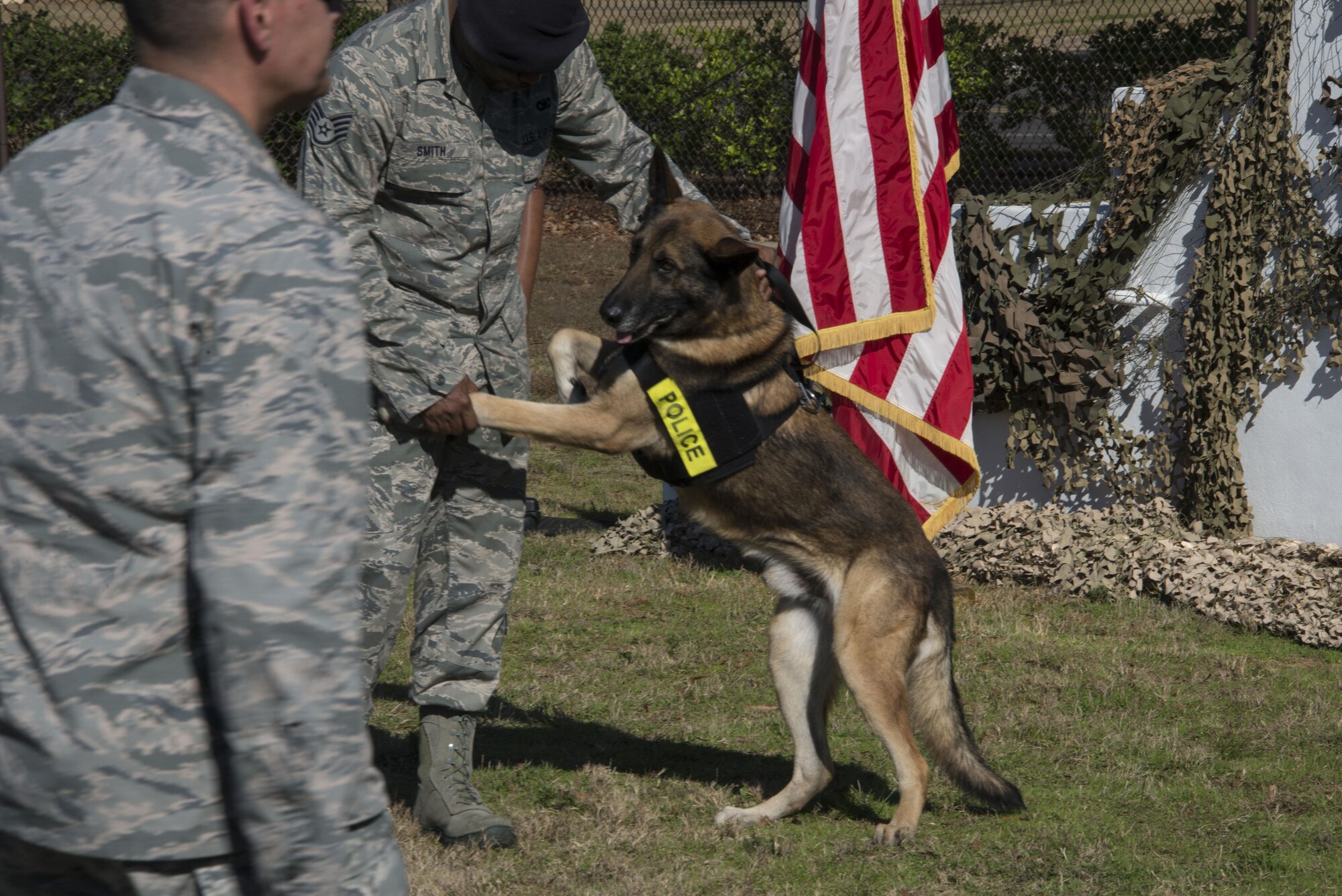 Military Working Dog  Rocky enjoys his retirement ceremony at Maxwell Air Force Base, Jan. 13, 2017.  Rocky was set to retire from military service at the end of October, 2016, but had to wait for final paperwork to be processed. He will join his former handler, Staff Sgt. Terrance Smith, their home couch. For more information on Rocky and his military service: http://www.maxwell.af.mil/News/Display/tabid/10067/Article/970080/mwd-rocky-is-taking-his-ball-and-going-home.aspx   (U.S. Air Force photo by Senior Airman William Blankenship)