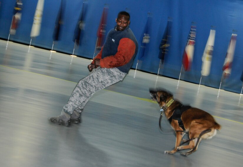 Staff Sgt. Jeffrey Wilson, 11th Security Support Squadron military working dog trainer attempts to evade MWD Marco during a K-9 demostration for media day at Joint Base Andrews, Md. Jan. 13, 2017. During their demostration, Wilson, Marco and Marco's handler showcased, field interview procedures, suspect escort, and non-compliant suspect apprehension. (U.S. Air Force Photo by Staff Sgt. Stephanie Morris)