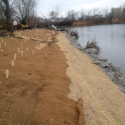 Photo shows work done for slope stabilization. Native seeds have been planted and eventually the site will show healthy, supportive vegetation. 