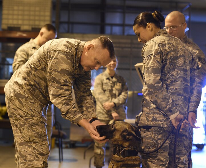 Col. Robert Sylvester, 56th Mission Support Group commander, greets Ffrida, 56th Security Forces Squadron military working dog, after she completed her first detection skills certification Jan. 6, 2017, at Luke Air Force Base, Ariz. Sylvester was there to see how the military working dog handlers evaluate each other on their skills. (U.S. Air Force photo by Senior Airman James Hensley)