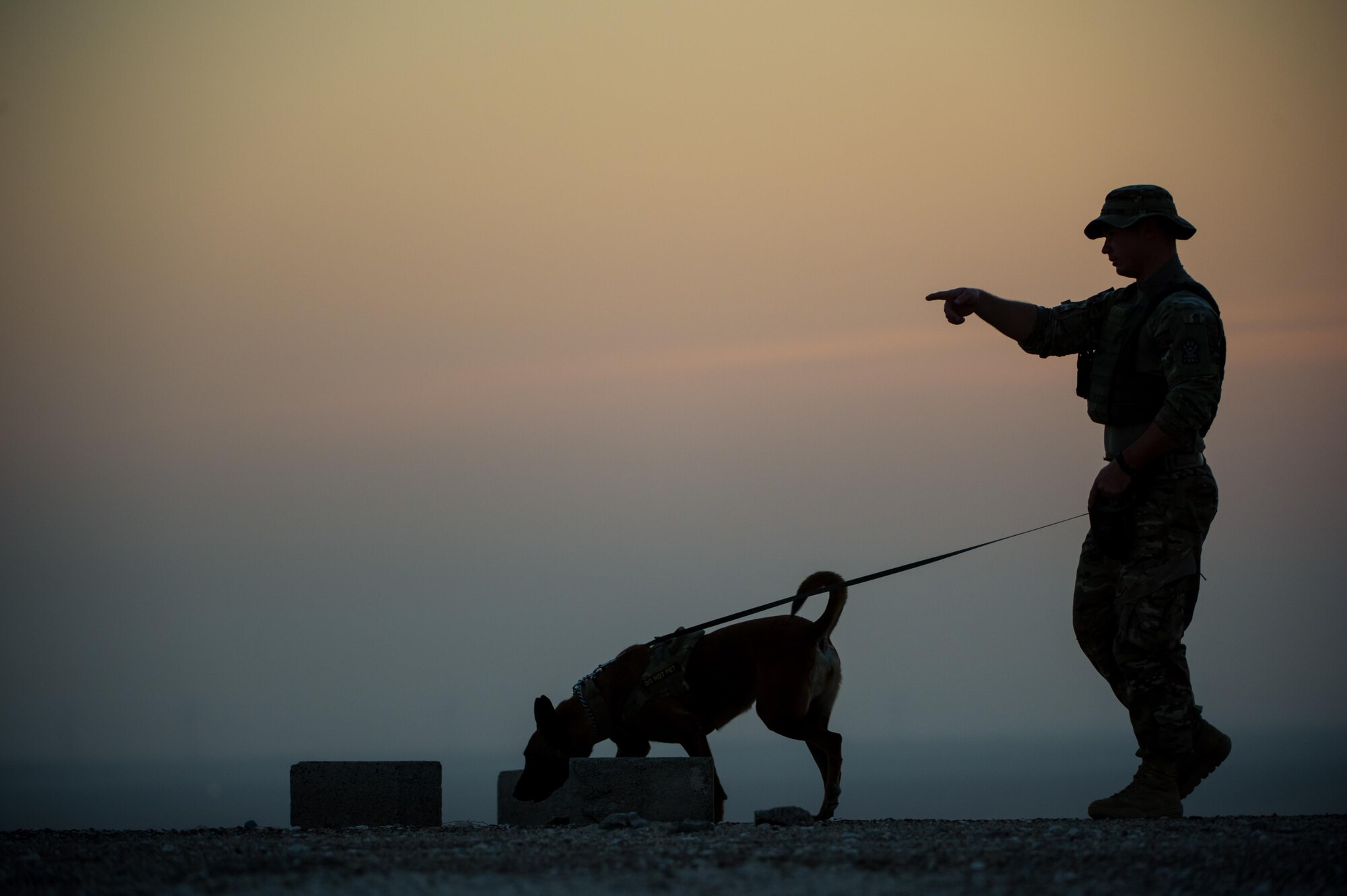 A 380th Expeditionary Security Forces Squadron military working dog team completes a detection training scenario at an undisclosed location in Southwest Asia, Jan. 10, 2017. Military working dogs complete weekly training scenarios to maintain the standards needed to protect military installations. (U.S. Air Force photo/Senior Airman Tyler Woodward)