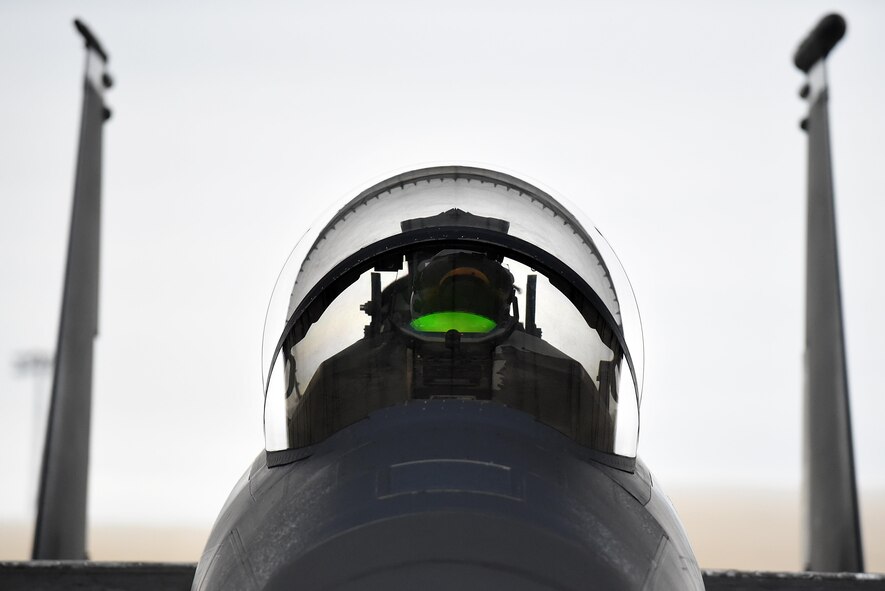 Col. Christopher Sage, 4th Fighter Wing commander, prepares to taxi before his inaugural Razor Talon flight, Jan. 20, 2017, at Seymour Johnson Air Force Base, North Carolina. Razor Talon is a monthly low-cost, large-force training exercise for aviation units along the East Coast. (U.S. Air Force photo by Airman 1st Class Kenneth Boyton)