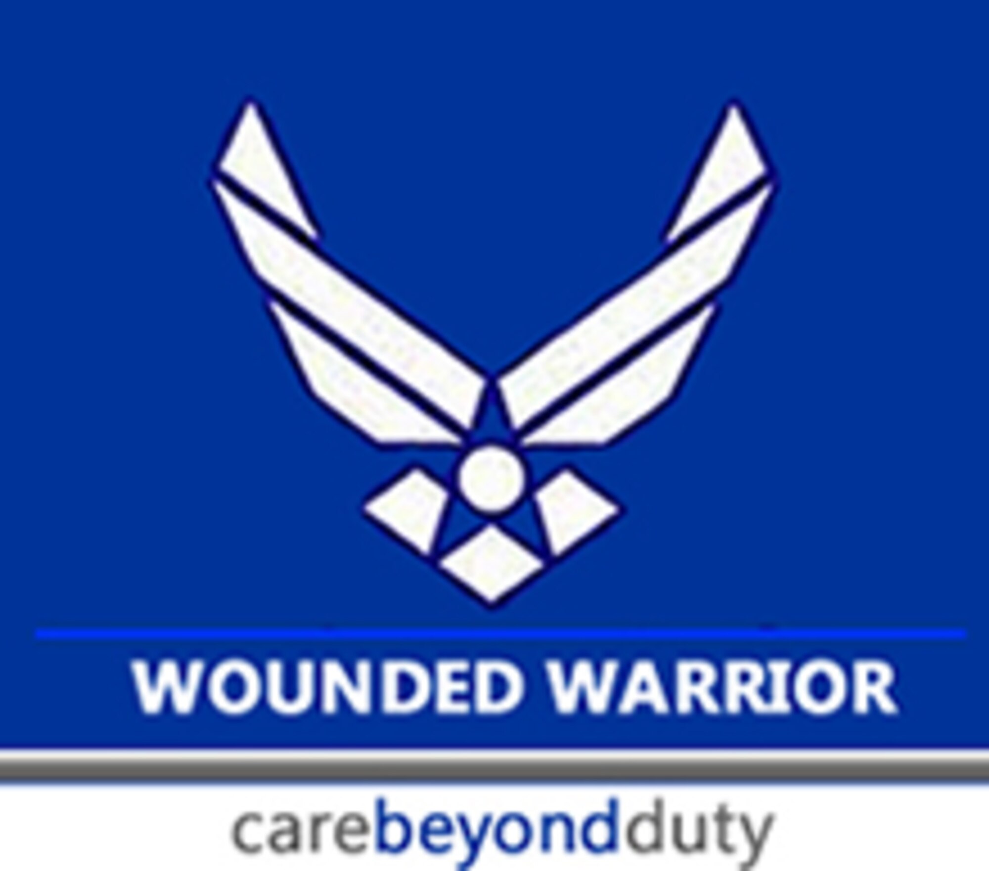 The Air Force Wounded Warrior Program focuses on putting wounded, ill and injured together to strengthen and support each other plus gives Airmen value and a sense of "I can still function and participate in life." (U.S. Air Force Medical Service graphic)   