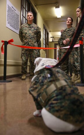 Colonel Mark M. Tull (left), chief of staff, Marine Corps Recruit Depot San Diego, and Capt. Nicole A. Rimal (right), legal assistance officer in charge, Legal Office, make remarks during the grand opening of the MCRD Tax Center, Jan. 20. The center, operated by Internal Revenue Service-trained and certified Marines, is open and available for active duty service members, retirees and their dependents.