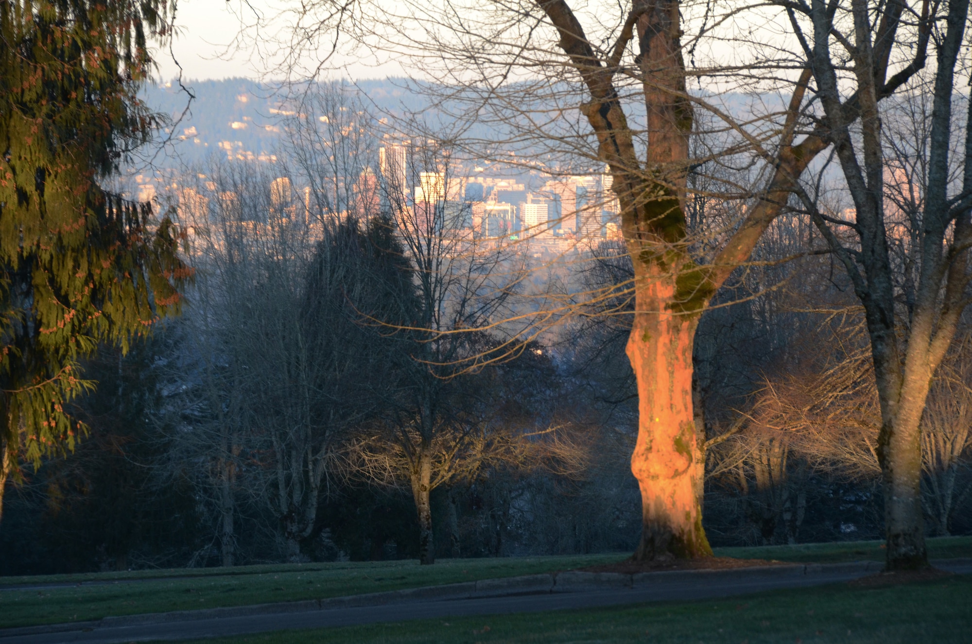The city of Portland, Ore., in the distance, is illuminated through the tree line at Willamette National Cemetery, as the sun rises over the 307-acre burial grounds, about 10 miles southeast of the city center, Jan. 6, 2017. (U.S. Air National Guard photo by Tech. Sgt. John Hughel, 142nd Fighter Wing Public Affairs) 