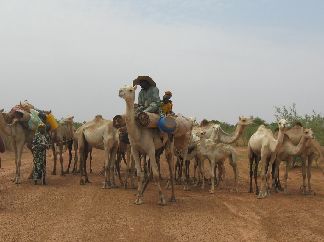 A family who depends on a nomadic lifestyle moves with their animals in search of water or pasturage in central Niger. Environmental change and insecurity pose increasing threats to nomadic peoples across the Sahel.