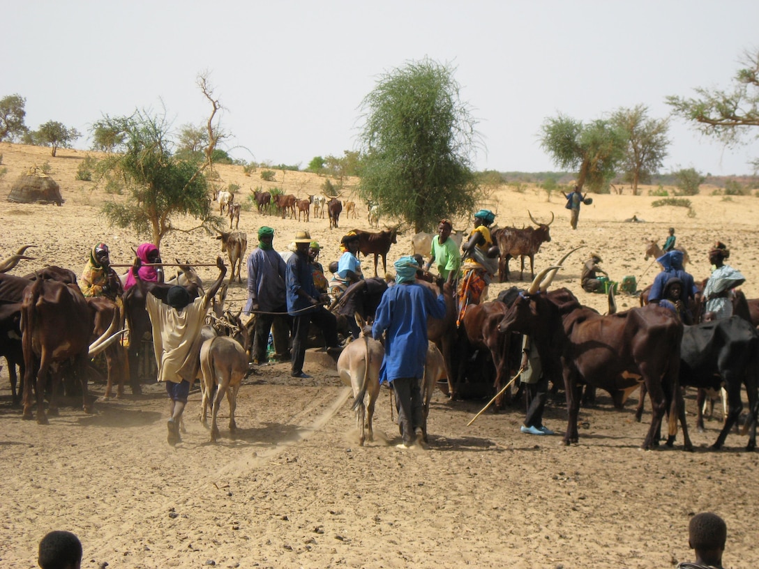 People and their livestock gather at a well in rural Niger. Water is a scarce and precious resource across the Sahel, and access is frequently a point of contention.