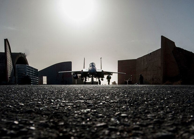 Crew chiefs prepare to launch a F-15E Strike Eagle, Jan. 9, 2017, in Southwest Asia. The jet is assigned to the Aircraft Maintenance Unit deployed from Mountain Home Air Force Base, Idaho. (U.S. Air Force photo by Staff Sgt. Eboni Reams)