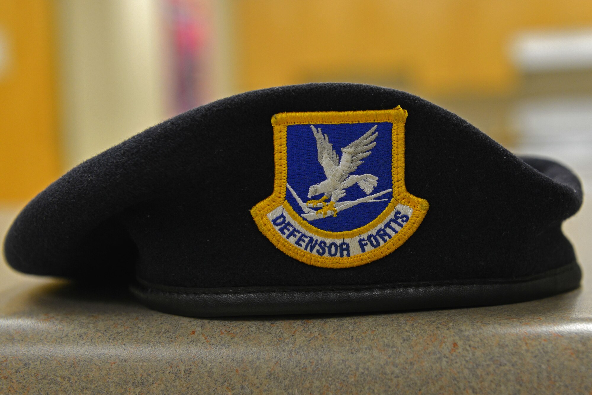 A 20th Security Forces Squadron blue beret lies on a counter at Shaw Air Force Base, S.C., Jan. 18, 2017. The beret displays the security forces motto, “Defensor Fortis,” which is Latin for “Defenders of the Force.” Security forces Airmen maintain readiness to provide defense both at home and downrange. (U.S. Air Force photo by Airman 1st Class Destinee Sweeney)