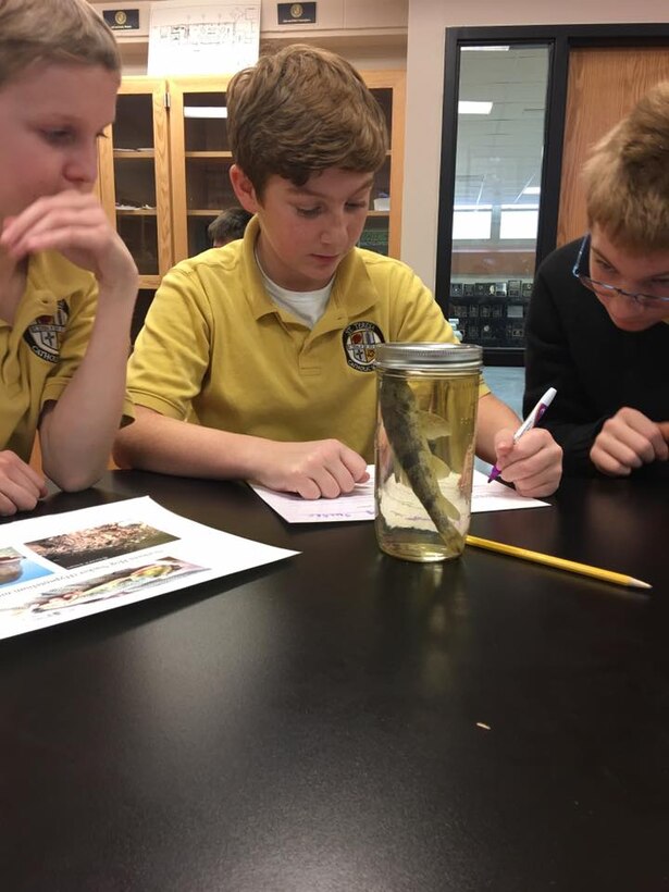 Students at St. Teresa Catholic School in Belleville, Ill., investigate native fish species that live in the Mississippi River during a STEM program hosted by the St. Louis District.