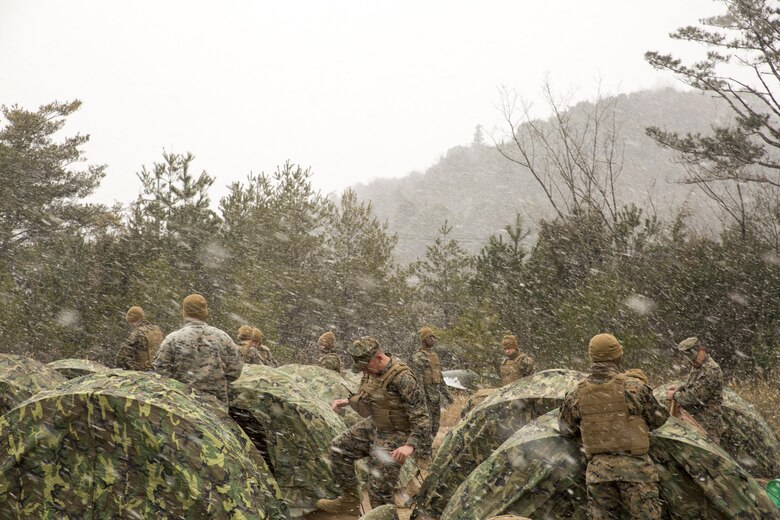 U.S. Marines with Marine Wing Support Squadron (MWSS) 171 set up two-man tents during exercise Kamoshika Wrath 17-1 at the Japan Ground Self-Defense Force’s Haramura Maneuver Area in Hiroshima, Japan, Jan. 22, 2017. The exercise is a biannual unit level training exercise that is primarily focused on establishing a forward operating base and providing airfield operation services. MWSS-171 trains throughout the year, completing exercises like Kamoshika Wrath 17-1 to enhance their technical skills, field experience and military occupational specialty capability. (U.S. Marine Corps photo by Cpl. Donato Maffin)