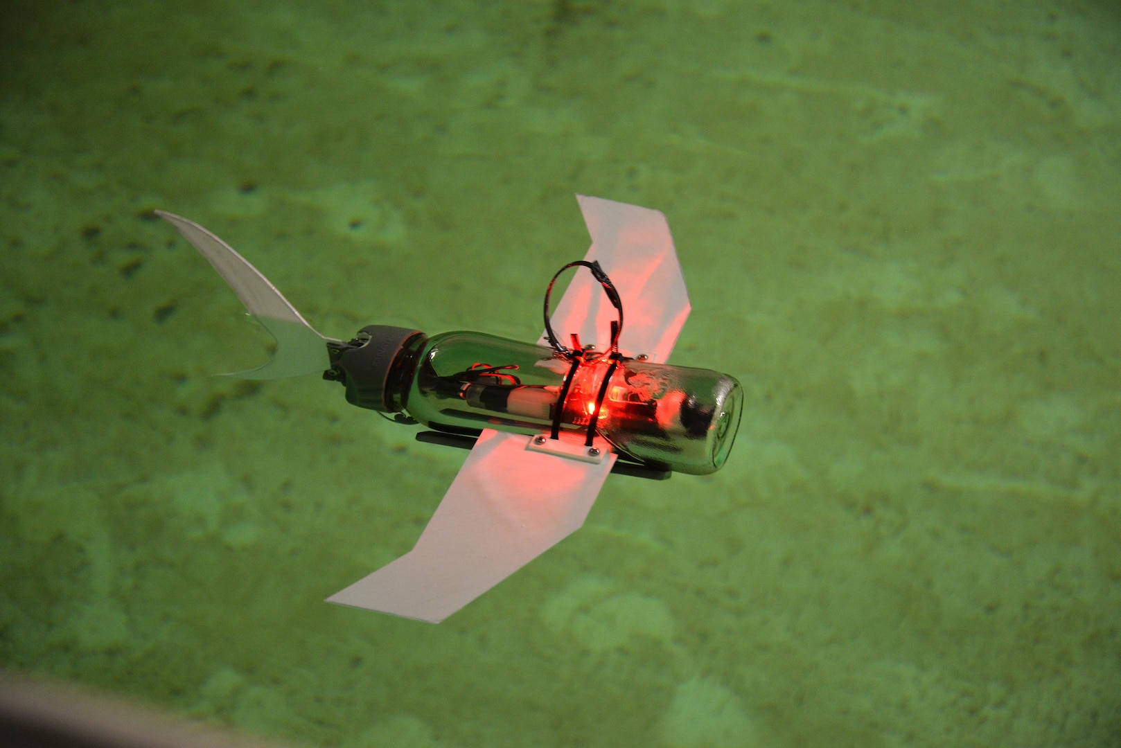 A SeaGlide, or small-scale underwater glider, maneuvers in a tank of water at Naval Surface Warfare Center, Carderock Division in West Bethesda, Md., Nov. 6, 2016. The SeaGlide is a non-tethered, autonomous robot that helps collect data through sensors. (U.S. Navy photo by Daniel Daglis/Released)