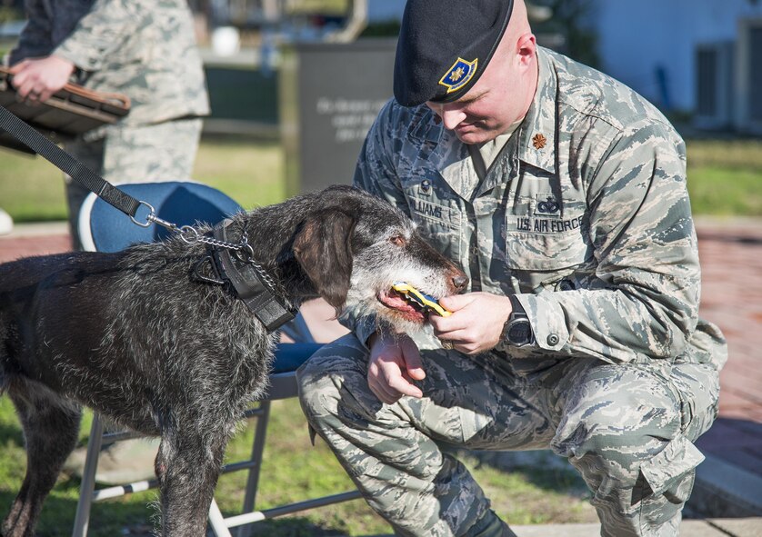 Maj. Jason Williams, 96th Security Forces Squadron commander, bends down to present Military Working Dog Kanjer his official security forces flash in the form of one of his favorite treats at Eglin Air Force Base, Fla. Kanjer’s 10-year military career culminated at his retirement ceremony January 23. (U.S. Air Force photo/Cheryl Sawyers)